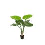 Kunst Pflanze Alocasia Calidora NICAS, Dekotopf, grün, 90cm