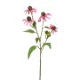 Dekozweig Sonnenhut MILROV, rosa, 75cm