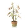 Kunstpflanze Syngonium YOMREL im Terracottatopf, creme-rot, 60cm