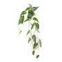 Kunstpflanze Alocasia sanderiana EXEVLO auf Steckstab, hängend, grün, 80cm