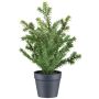 Künstliche Pflanze Eibe KRUHER, Dekotopf, grün, 28cm