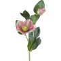 Künstliche Blume Christrose DENDY, rosa-grün, 35cm