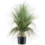 Deko Palme Grasbaum COOSA, 70cm