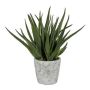 Deko Sukkulente Aloe Vera BRIZE im Zementtopf, grün, 45cm