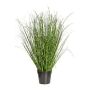 Deko Gras Zebragras ZIRCO, grün-gelb, 80cm