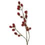 Deko Zweig Brombeere URUMA mit Früchten, rot, 90cm
