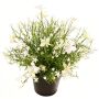 Dekoblume Fleißiges Lieschen GISINDA im Dekotopf, weiß-grün, 25cm