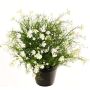 Dekoblume Fleißiges Lieschen GISINDA im Dekotopf, creme, 40cm