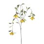 Künstlicher Bauhinia Zweig NEXWIL, gelb-orange, 120cm, Ø8-9cm