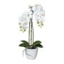 Kunst Phalaenopsis Orchidee LARKEN im Keramiktopf, Wurzeln, weiß, 45cm