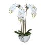 Kunst Phalaenopsis Orchidee LARKEN im Keramikschale, Wurzeln, weiß, 50cm