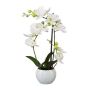Textil Phalaenopsis Orchidee INAKES, Keramiktopf, Wurzeln, weiß, 40cm
