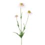Deko Zweig Sonnenhut KAELY, hellrosa, 65cm