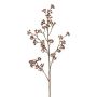 Dekozweig Eukalyptus FRULIN mit Früchten, dunkelrosa, 80cm