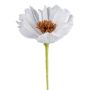 Dekoblume Pfingstrose NOSFIN aus Papier, weiß, 45cm