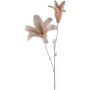 Deko Zweig Lilie UWENRA, beige-gold, 70cm, Ø22cm