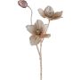 Kunstzweig Christrose GRIMFAL, beige, 55cm