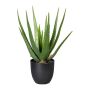 Kunst Sukkulente Aloe Vera KRONFA im Dekotopf, grün, 45cm