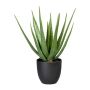 Kunst Sukkulente Aloe Vera KRONFA im Dekotopf, grün, 55cm