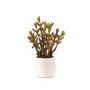 Künstliche Sukkulente Sedum reflexum CYVAST im Dekotopf, grün-rot, 27cm
