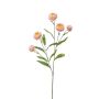 Deko Zweig Strohblume SNAVIK, rosa, 70cm