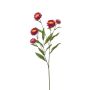 Deko Zweig Strohblume SNAVIK, pink, 70cm
