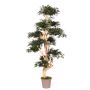 Dekobaum Japanischer Ahorn SLAWIK, Echtstamm, grün, 185cm - Made in Italy