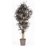 Unechter Dracaena Marginata KIMANORA, Naturstämme, grün-rot, 175cm - Made in Italy