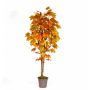 Dekobaum Ahorn SLAWA, Naturstämme, orange-gelb, 250cm - Made in Italy