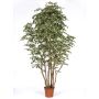 Künstlicher Ficus Benjamini MIMITIGO, Echtstämme, grün-weiß, 250cm - Made in Italy