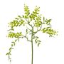 Kunstzweig Mimose KRAVEL mit Knospen, hängend, grün, 60cm