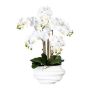 Kunst Phalaenopsis Orchidee ZALBROK, Dekovase weiß, Wurzeln, weiß, 75cm