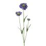 Deko Zweig Scabiosa ATLENTO, lila, 65cm