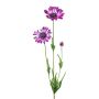 Deko Zweig Margerite NIELAY, lila, 65cm