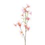 Dekozweig Tweedia solanoides ZORHIL, metallic-rosa, 75cm
