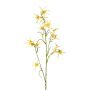 Dekozweig Tweedia solanoides ZORHIL, metallic-gelb, 75cm