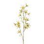 Dekozweig Tweedia solanoides ZORHIL, metallic-grün, 75cm