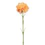 Deko Blume Nelke ZENDIA, aprikose, 45cm