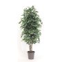 Deko Ficus Benjamini KONRADE, Echte Stämme, grün-weiß, 225cm - Made in Italy