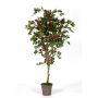 Unechte Bougainvillea ISMUNDE, Echtstamm, Blüten, pink, 150cm - Made in Italy