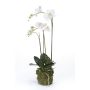 Künstliche Phalaenopsis Orchidee PABLA, Moosball, weiß, 70cm