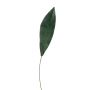 Kunstblatt Schusterpalme PAISA, 75cm