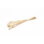 Getrocknetes Kanariengras BRAGILA im Bund, creme, 50-75cm, Ø12cm