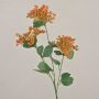 Künstliche Schafgarbe WONDI, orange, 65cm, Ø9cm