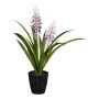 Deko Blume Fackellilie HARFA im Dekotopf, lila, 45cm