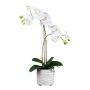 Textil Phalaenopsis Orchidee GROTVER, Keramiktopf, Wurzeln, weiß, 50cm