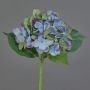 Hortensie unecht GABRIELLA, blau-grün, 50cm, Ø17cm