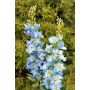 Künstliche Blume Rittersporn ZIRKAN, blau, 75cm, Ø9cm