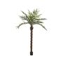 Kunst Kentia Palme MARCOS, 300cm