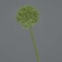 Künstliche Blume Allium BAILIN, grün, 45cm, Ø6,5cm